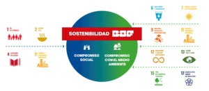 Objetivos de Desarrollo Sostenible (ODS) promovidos por la ONU. BSF se centra en once ODS.