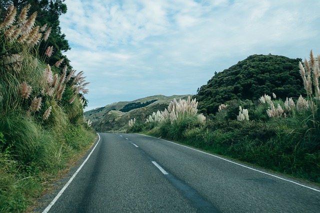 Imagen de Naturaleza, Paisaje y Carreteras